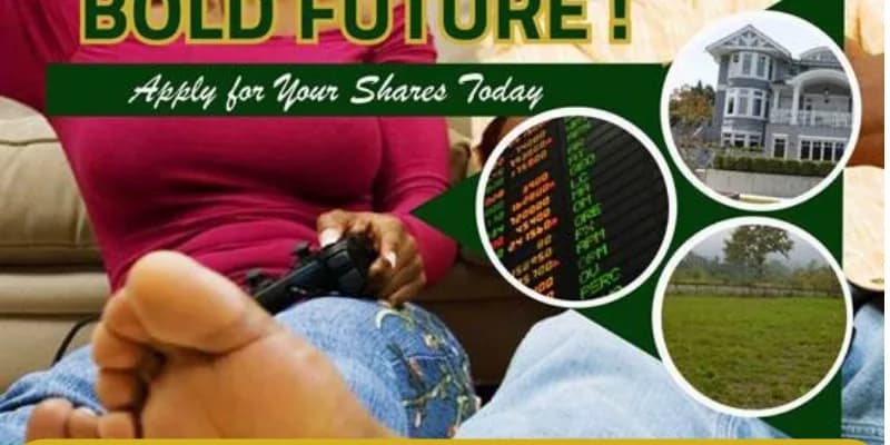 SHARE DRIVE