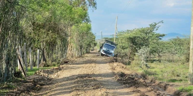 WHY YOU SHOULD INVEST IN NANYUKI